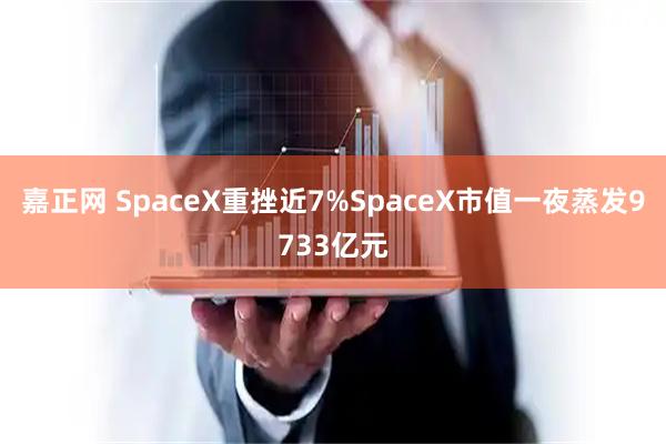 嘉正网 SpaceX重挫近7%SpaceX市值一夜蒸发9733亿元